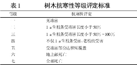 表1 樹木抗寒性等級評定標準