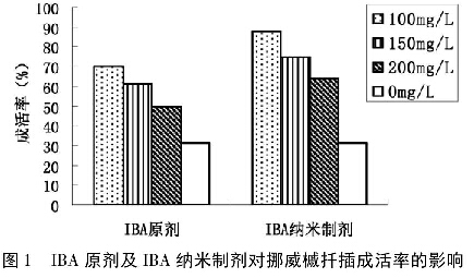 圖1 IBA原劑及IBA納米制劑對(duì)挪威黃金楓扦插成活率的影響